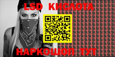 прущие грибы Бузулук