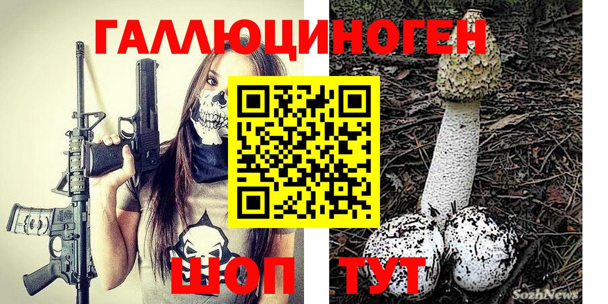 Галлюциногенные грибы GOLDEN TEACHER  цена наркотик  Полысаево  Вход с VPN  Галлюциногенные грибы мицелий 